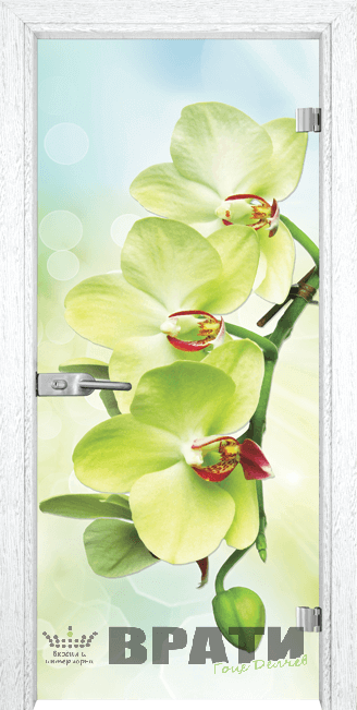 Стъклена интериорна врата модел Print G 13-3 Green
