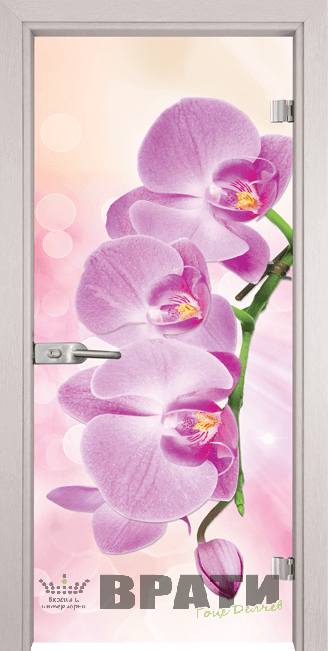 Стъклена интериорна врата модел Print G 13-3 Pink