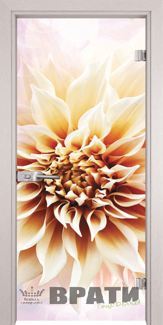 Стъклена интериорна врата модел Print G 13-5